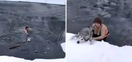 femme 65 ans brave l'eau glacée