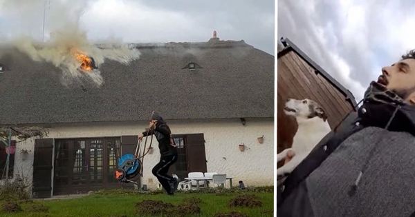 incendie chaumière chien