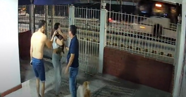 chien réapparaît 7 jours après