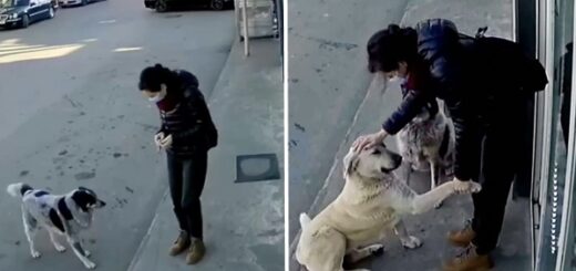 femme câlins magasin