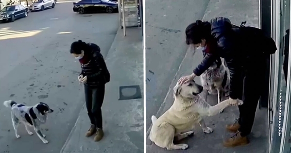 femme câlins magasin