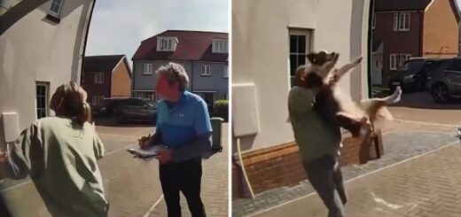 femme attrape son chien