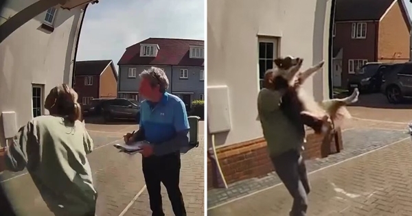 femme attrape son chien