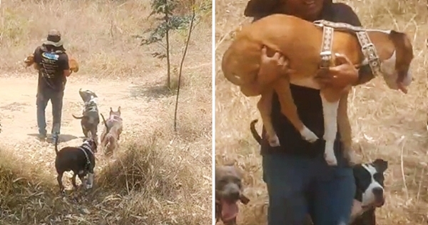 père aide son chien handicaper