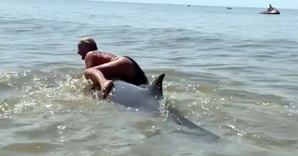 femme monte dos baleine