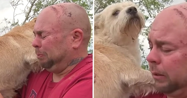 homme retrouve chien tornade