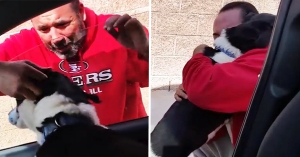 homme retrouvailles chien voiture