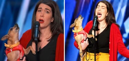 chien chante tv show