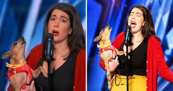 chien chante tv show