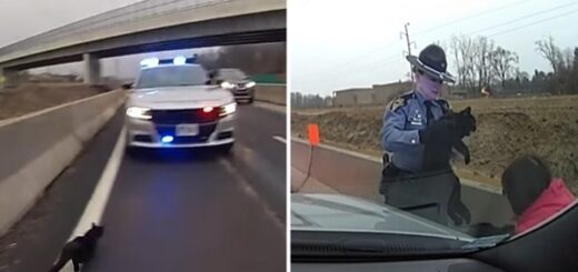 chat police autoroute