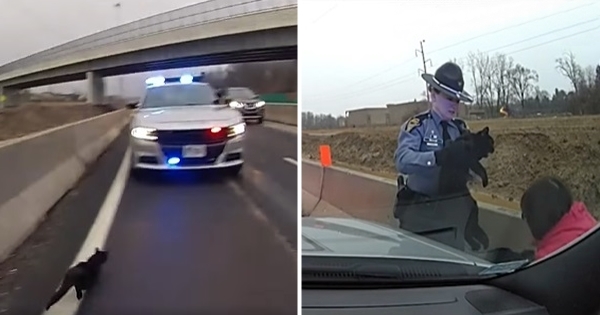 chat police autoroute