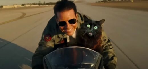 chat top gun