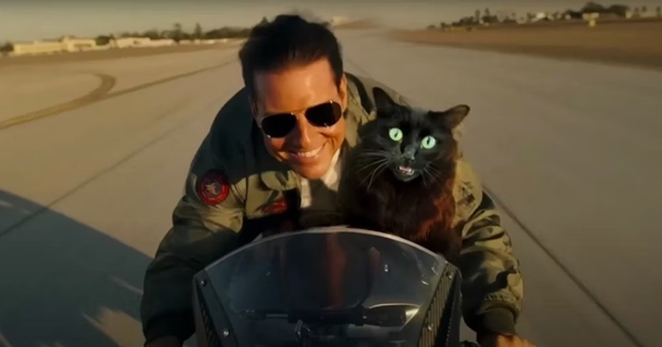 chat top gun