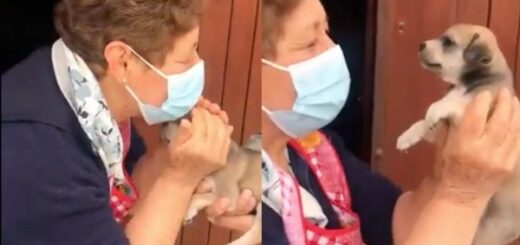 grand mère reçoit cadeau