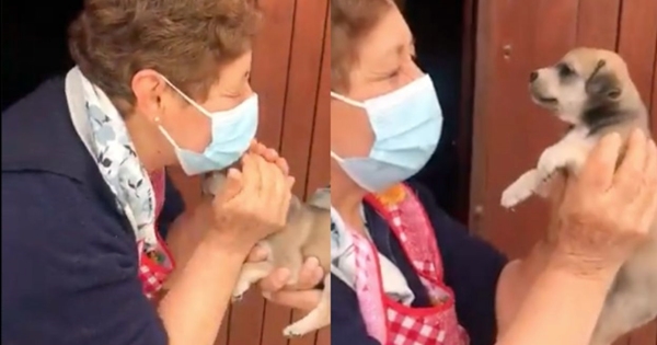 grand mère reçoit cadeau