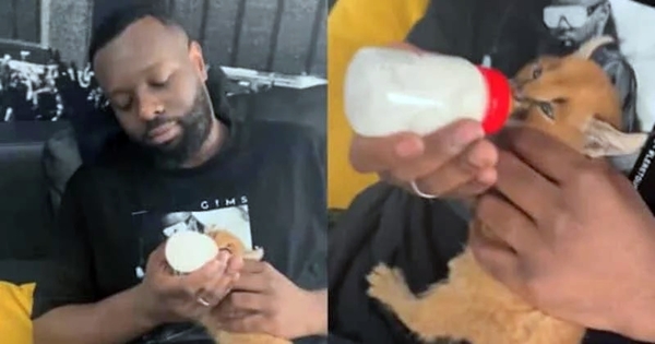 gims et une espece menacée