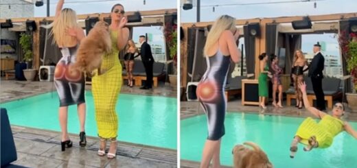 chien pousse femme piscine