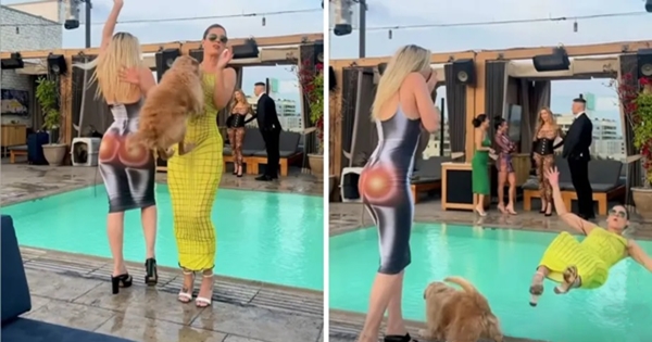 chien pousse femme piscine